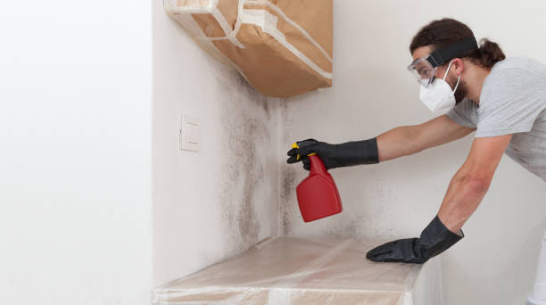 Professional Bathroom Mold Removal technician working in Fort Worth, TX